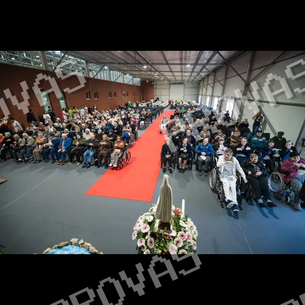 Foto 15