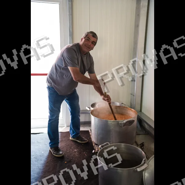 Foto 41